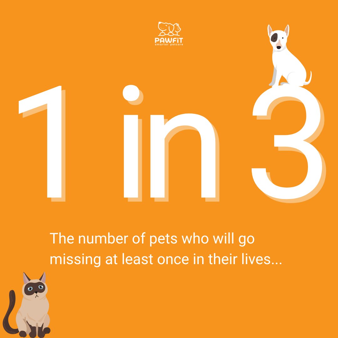 Pawfit - Pet Tracking Specialists tweet media