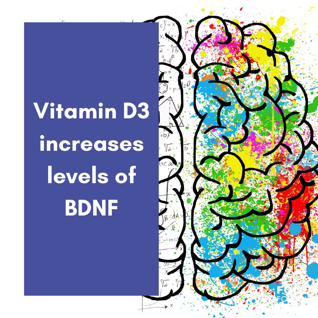 Foods4thebrain's tweet photo. One of vit D3's interesting properties is it's ability to increase brain-derived neurotrophic factor BDNF in the brain. ⁠This means the growth of brand new brain cells and neural pathways for healthy brain function. ⁠
#integrativementalhealth #foodandmood #mentalhealthnutrition https://t.co/SWoTgsvaX0
