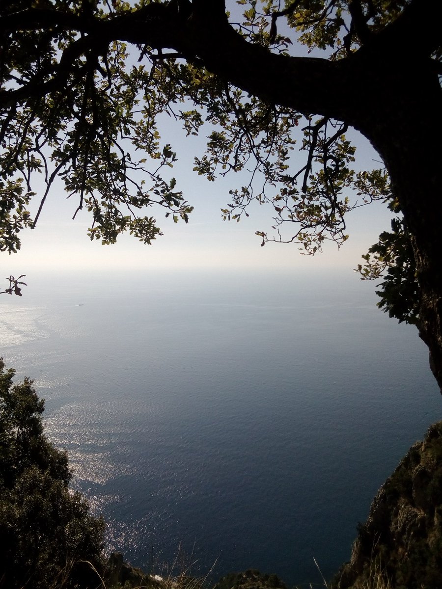 ...non è possibile spiegare il mare... ❤️

Mio scatto