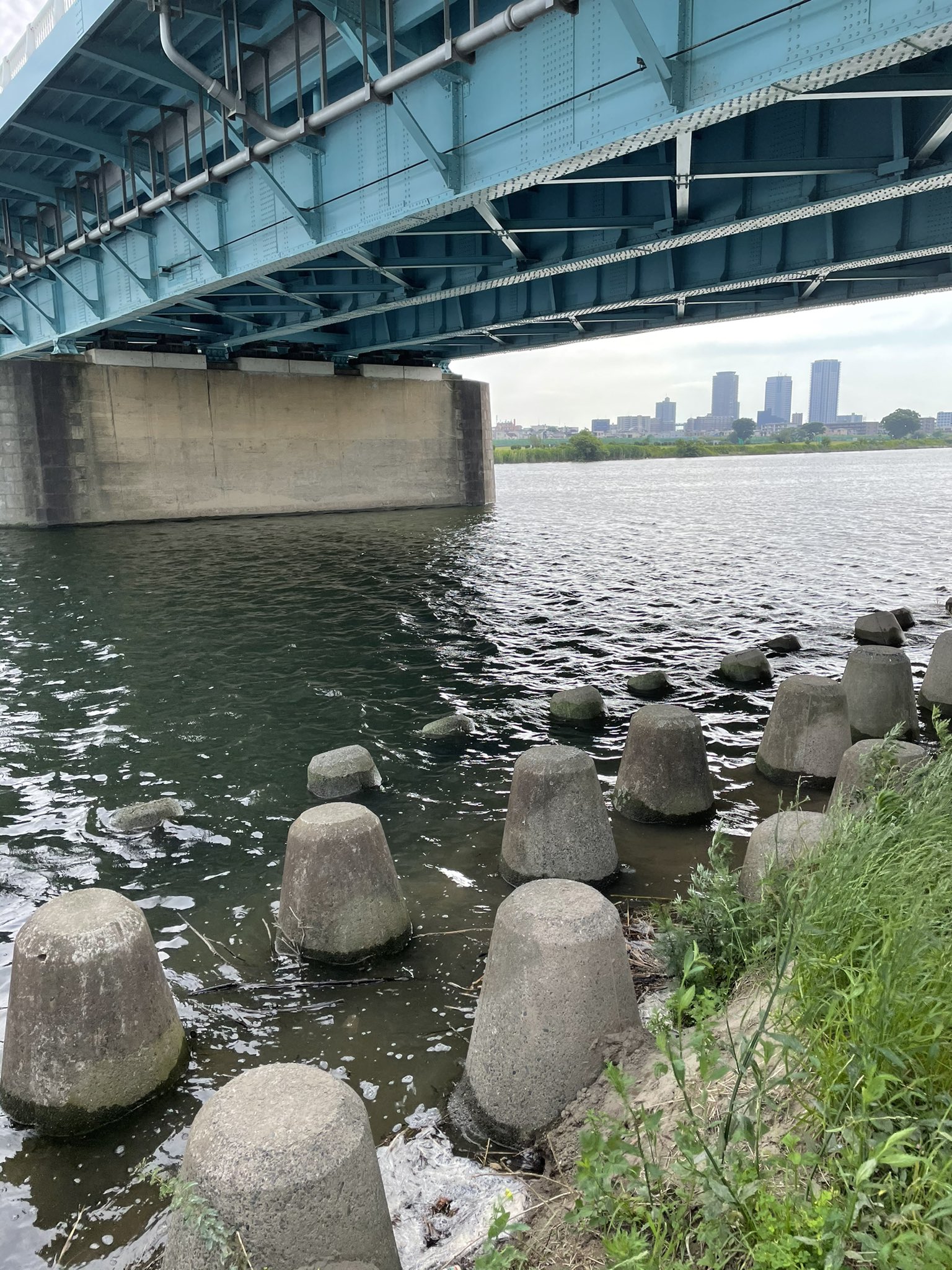 I Mジャグリストけいじ Kt 散歩及びテナガエビ釣りの下見しに多摩川へ ついでにのんびりと土手で腹ごしらえ T Co G2v0njvza3 Twitter