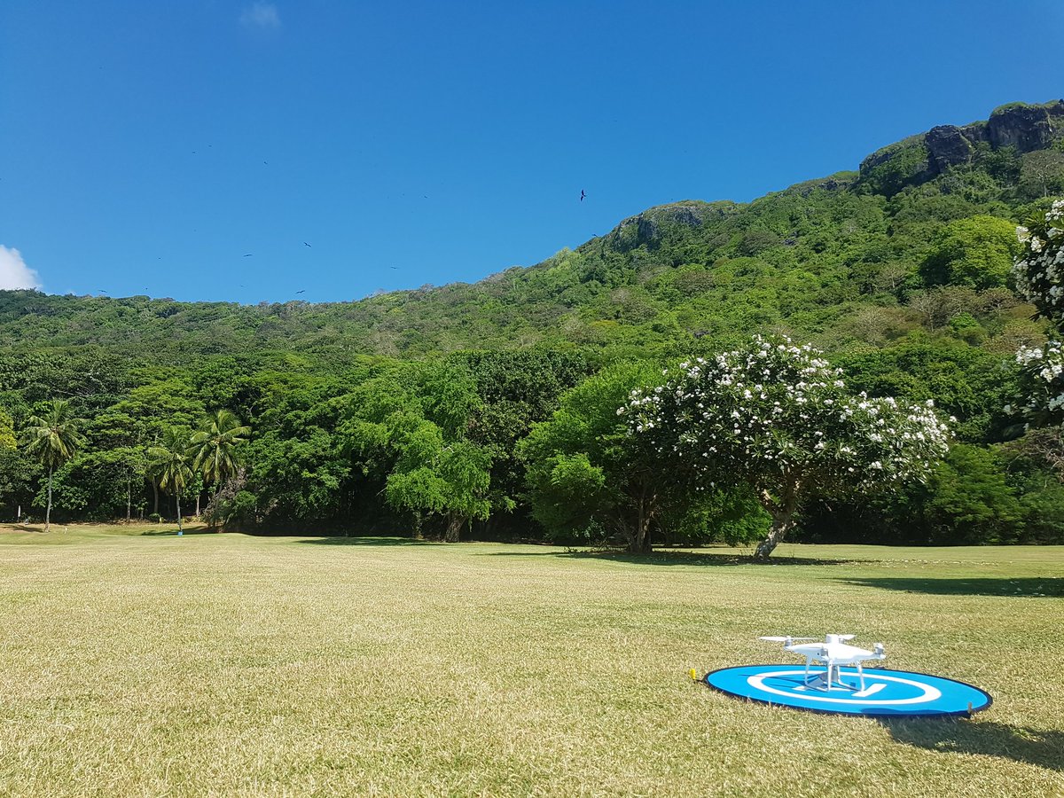 Finella Dawlings tweet media