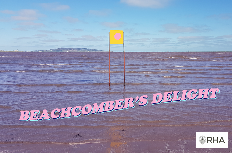 RHAGallery's tweet image. For the 2021 Cruinniú na nÓg festival: Beachcombers Delight.
11am - 12.30pm, 12 June, Bookings open to 1 June. Limited places available, online via Zoom - art workshop for children in response to the exhibition, Eleuthera by Sean Scully.
rhagallery.ie/events/cruinni…
