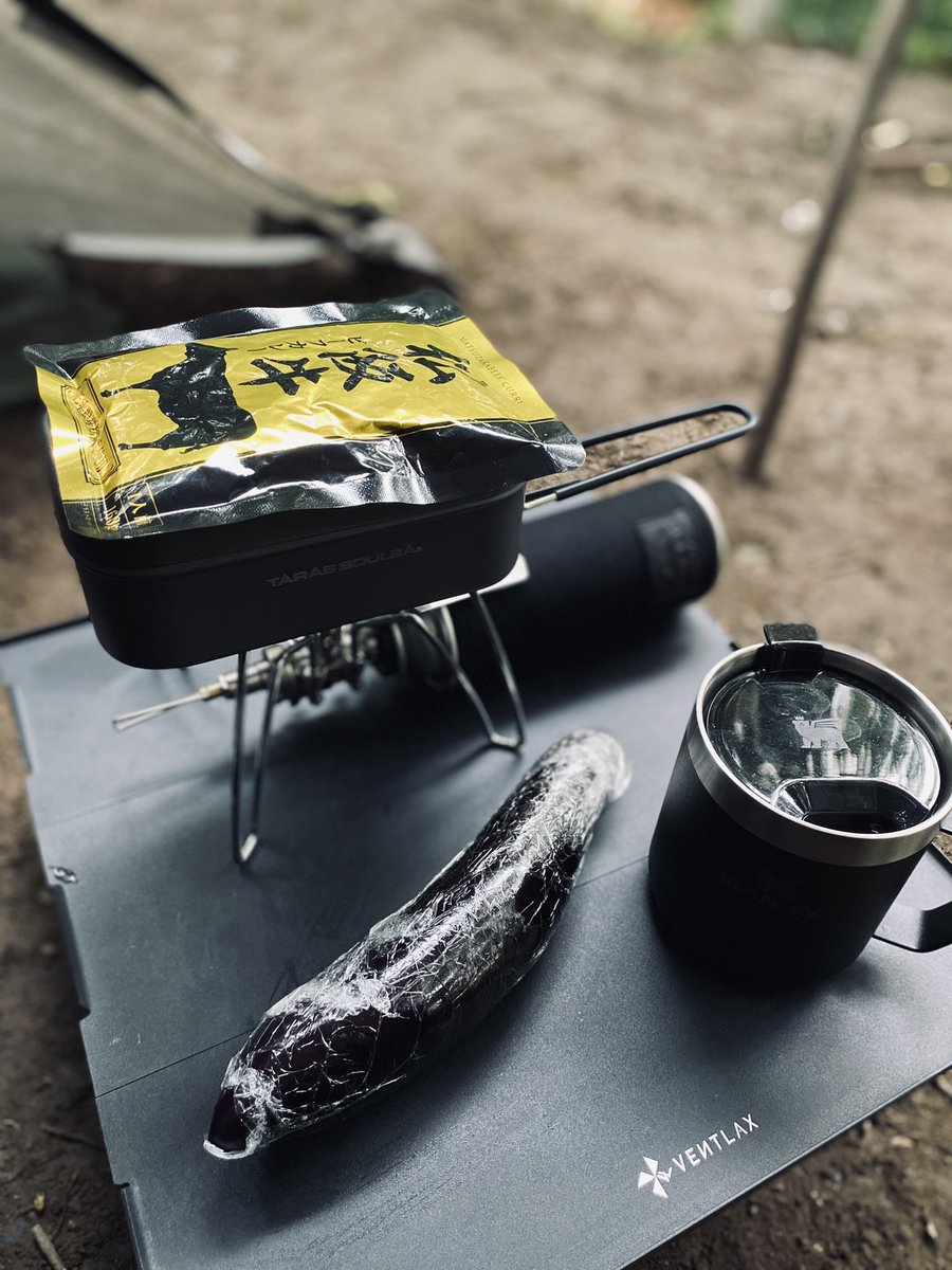ユオ Camp きのうのキャンプ飯 揚げナスカレーにする予定が急な雨の諸事情でまるごと一本持ち帰るはめになったナスとカレーライス ナスのホイル焼きとかしちゃえばよかた 遅 ソロキャンプ ソロキャン キャンプ ソロキャン女子 無骨