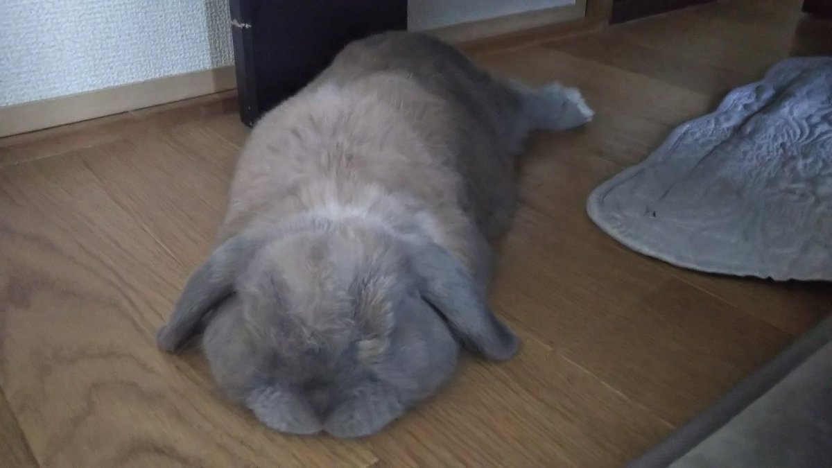 ぐぅーたれてませんか？