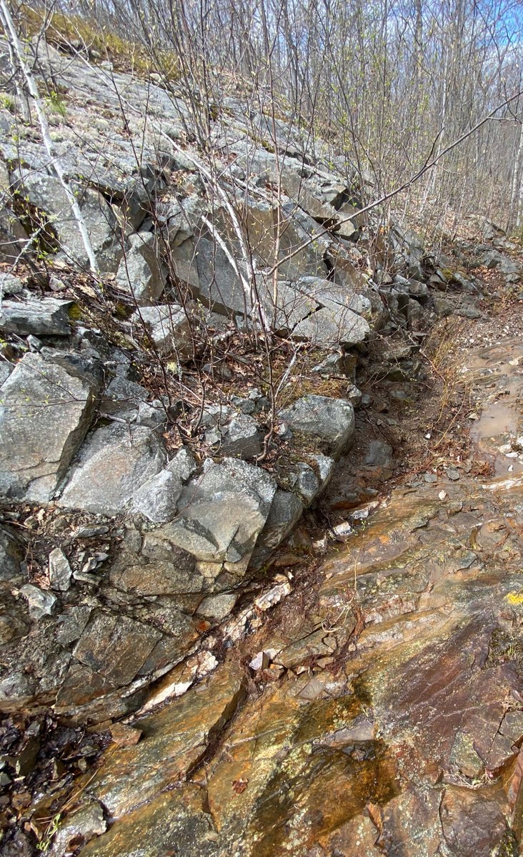 macdonaldmines's tweet photo. Surface exploration continues at Glade with mechanized stripping,  mapping and sampling.  Watch for assay results. #SPJProject #beyondscadding #goldexploration #investing  #staytuned @miaboiridy $BMK.v https://t.co/hU8tz916AL