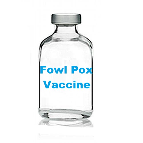 SwissChemie's tweet photo. https://t.co/SCgWIvbFR5
Fowl Pox Vaccine Supplier Price in India Pakistan Kenya https://t.co/Gj5flnIc42
