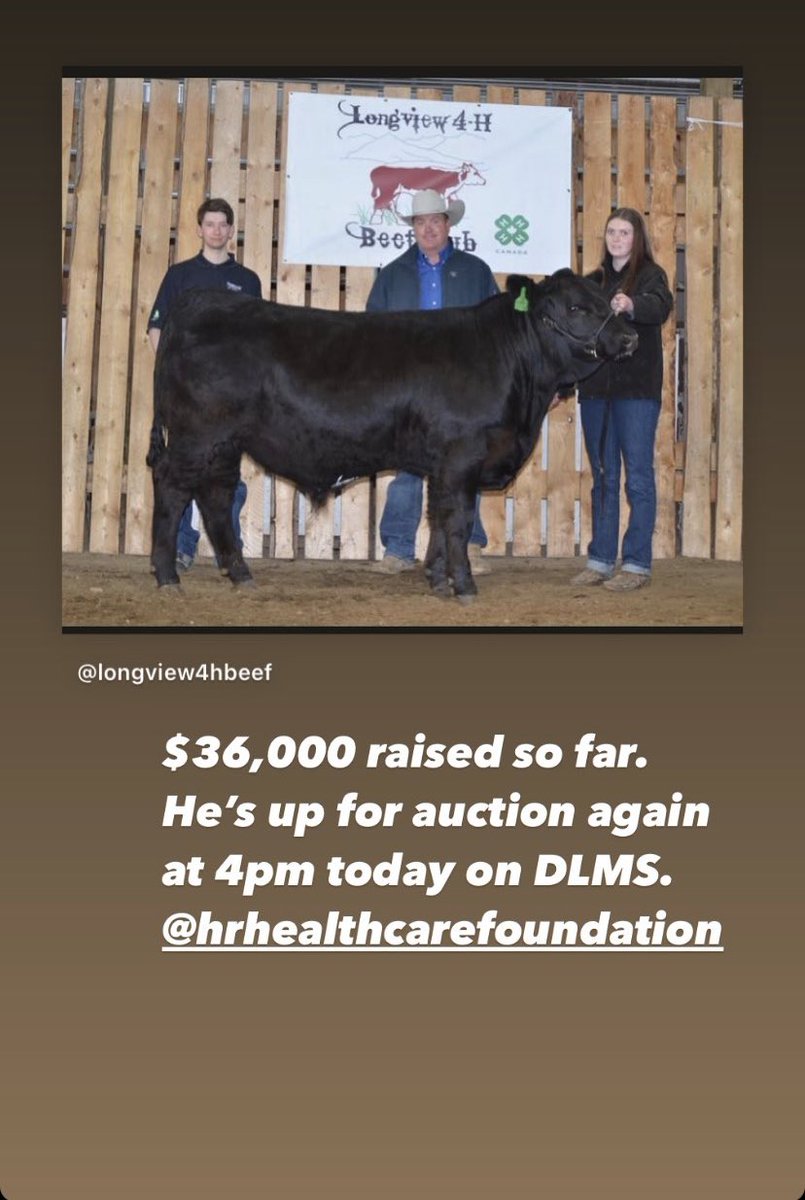 There’s a new sheriff in town...Thank you to <a href="/mutknuckle72/">Steven Muth</a> for being the final buyer on our donation steer- bringing the total to just over $42,000! A great story of community working together to raise money for the High River District Health Care Foundation:)
@CoueyforCouncil