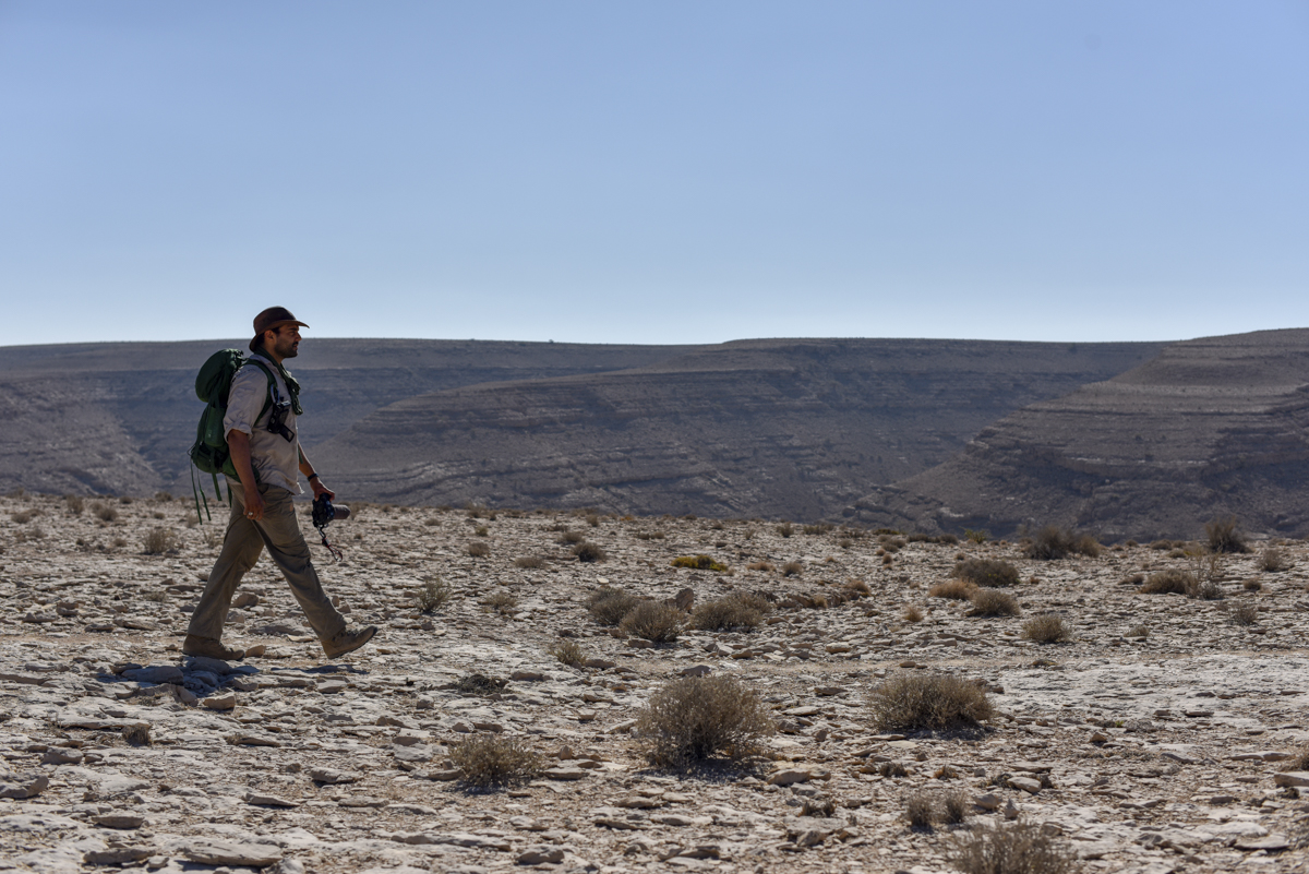 Dure Magazine tweet media