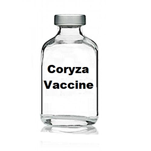 SwissChemie's tweet photo. https://t.co/N8opUQOQKI
Infectious Coryza Disease Vaccine Manufacturer Supplier - Coryza Vaccine Supplier Price For Chickens Chicks Poultry https://t.co/1wjujJAX4q