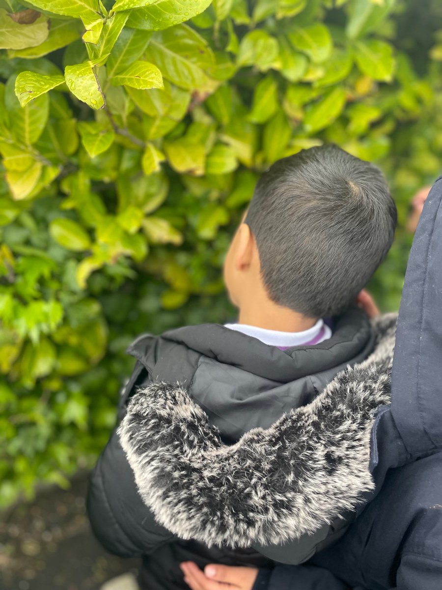 olive_bolton's tweet photo. Lunchtimes are made for #BugHunts #Teamwork #Outdoors #HappyTimes #Nature #Science #WeAreStar https://t.co/sNNmZWgvmN