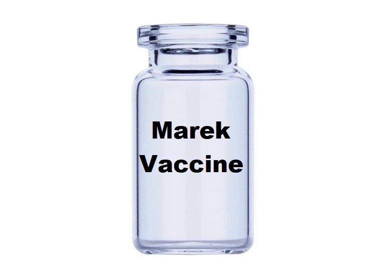 SwissChemie's tweet photo. https://t.co/COPwKdKQXn
Marek Disease Live Animal Vaccine For Sale - Marek's Disease Vaccines Supplier For Chickens &amp; Poultry https://t.co/OlmB5NehcI