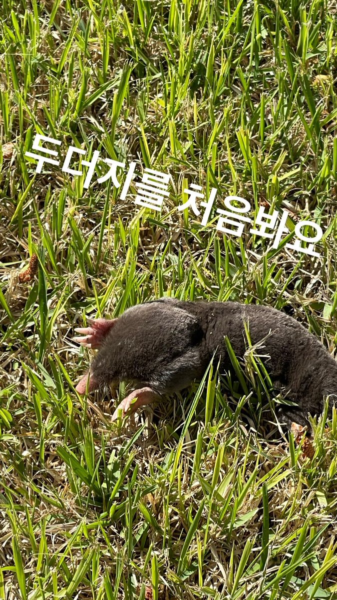 0529jihoon_ig's tweet photo. 2021.05.25 #박지훈 #멀리서보면푸른봄 #여준

윙스타그램 스토리

😳https://t.co/J7JpyVnPPR https://t.co/AuXm119FU4