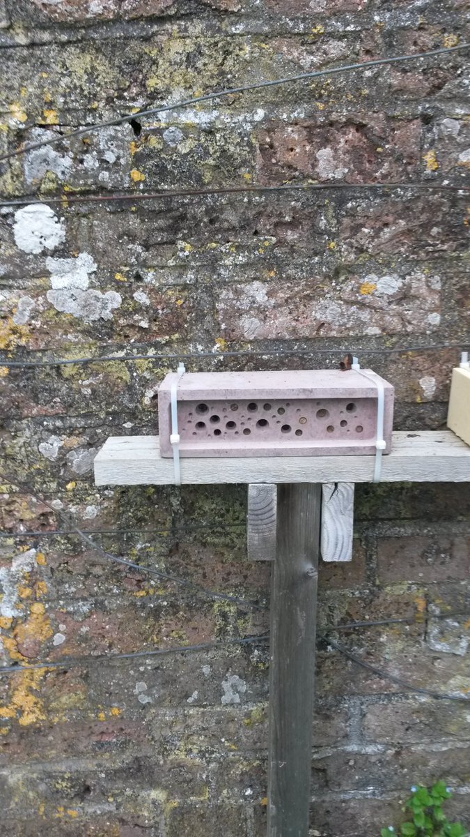 Conservation Evidence Journal (@conservevidjour) on Twitter photo Cavity-nesting bees and wasps do use bee bricks. New research by <a href="/RosEcologist/">Ros</a> <a href="/RachelCrookes/">Rachel Crookes</a> <a href="/GreenandBlueUK/">Green&Blue</a> reports results from the first step in testing a new urban bee habitat. conservationevidencejournal.com/reference/pdf/… Cavity-nesting bees and wasps do use bee bricks. New research by <a href="/RosEcologist/">Ros</a> <a href="/RachelCrookes/">Rachel Crookes</a> <a href="/GreenandBlueUK/">Green&Blue</a> reports results from the first step in testing a new urban bee habitat. conservationevidencejournal.com/reference/pdf/…