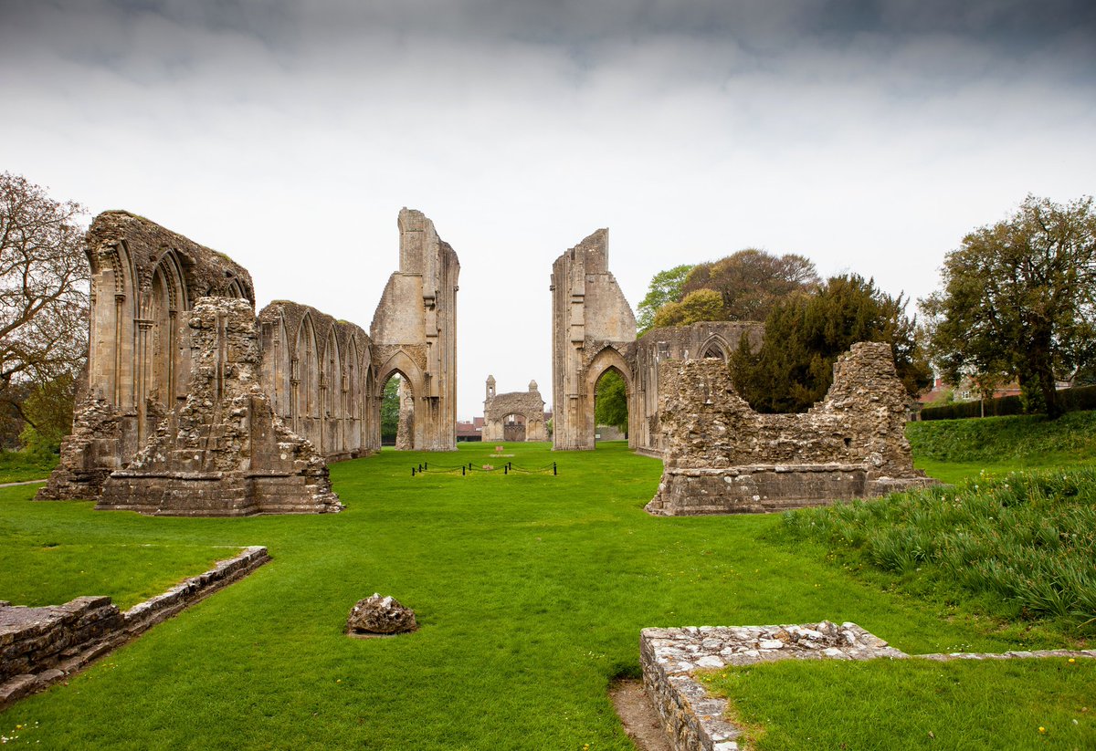 Portia Jones tweet media