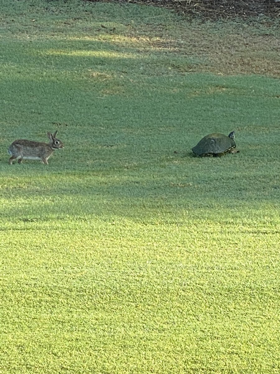 Slow and Steady........