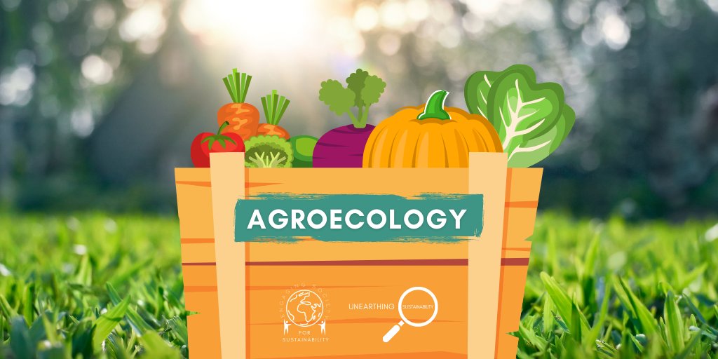 EngagingSociety's tweet photo. 🌾What is #agroecology? Why is it considered #sustainable? Discover more about ecological agriculture in our latest #UnearthingSustainability article➡️ https://t.co/8gdgZXBh9r https://t.co/XJIZhqFQlo