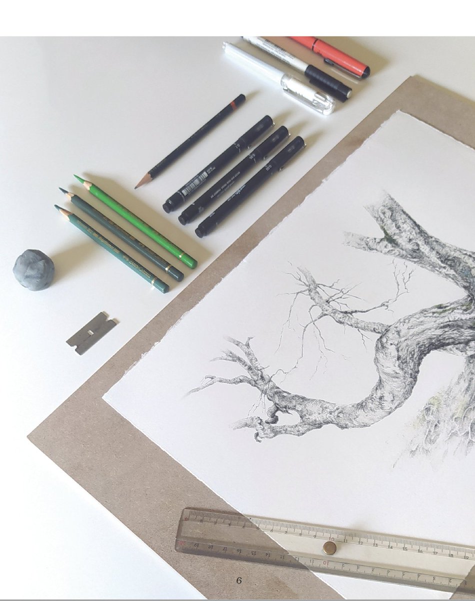 Biblioteca_RJB's tweet photo. Si quieres aprender a dibujar #árboles 🌳🌲 y no sabes por dónde empezar... ¡ésta es tu guía!
1⃣Recoge gratis la versión en papel en nuestra Biblioteca o en la Tienda del @RJBOTANICO 
2⃣Descárgala aquí 👇
https://t.co/Wk0bzTKVrO https://t.co/fHTzpTMlqr