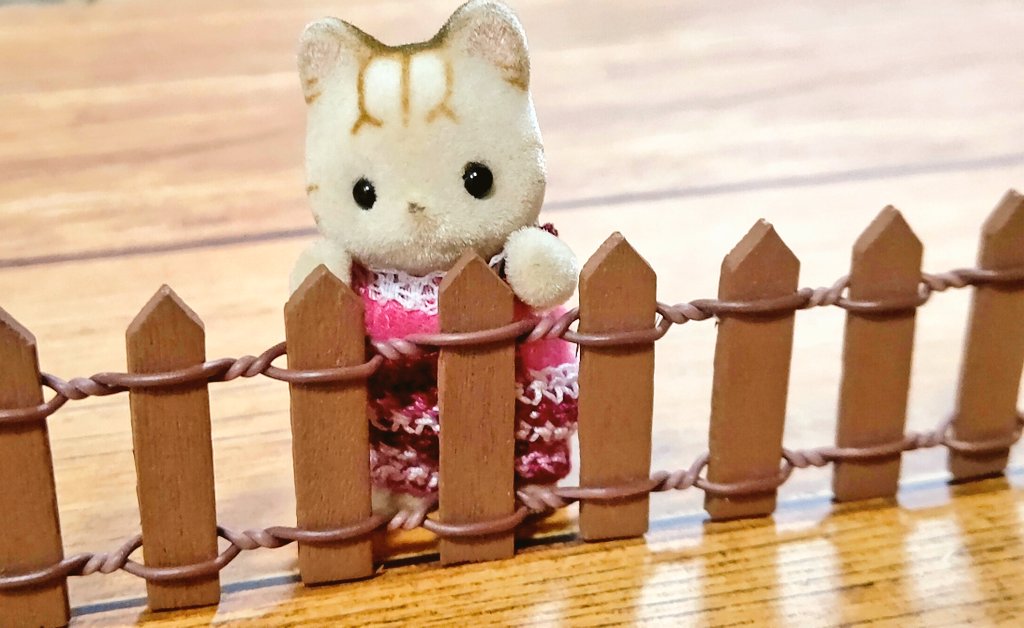 おうちにかえりたいシマネコの赤ちゃん Simanekokaeru Twitter