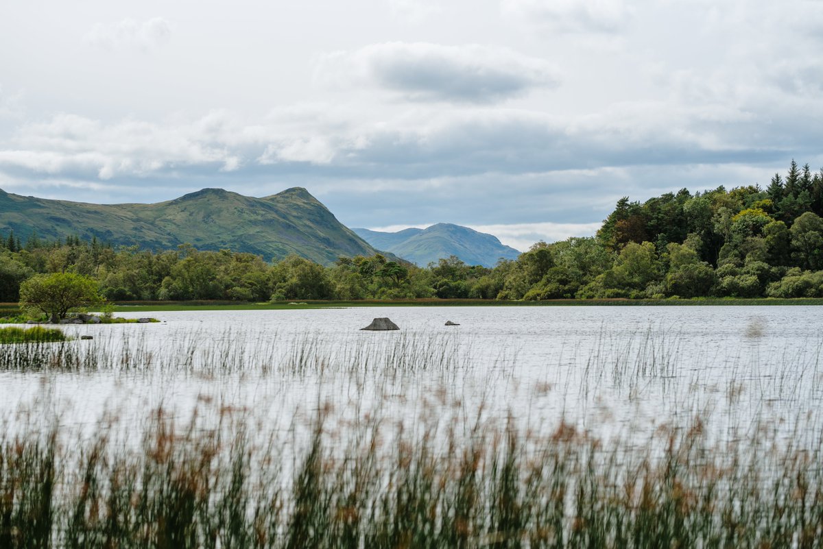Peacockes_Hotel's tweet photo. You don't need to fly to the other side of the world to find wilderness &amp; beauty  #Connemara #keepdiscovering #connemaraandtheislands 
@Failte_Ireland @AranConnemara @JCWLGeopark @discoverirl @visit_galway @galwaytourism @poloconghaile @Connemaraloop https://t.co/5nijemK0pV