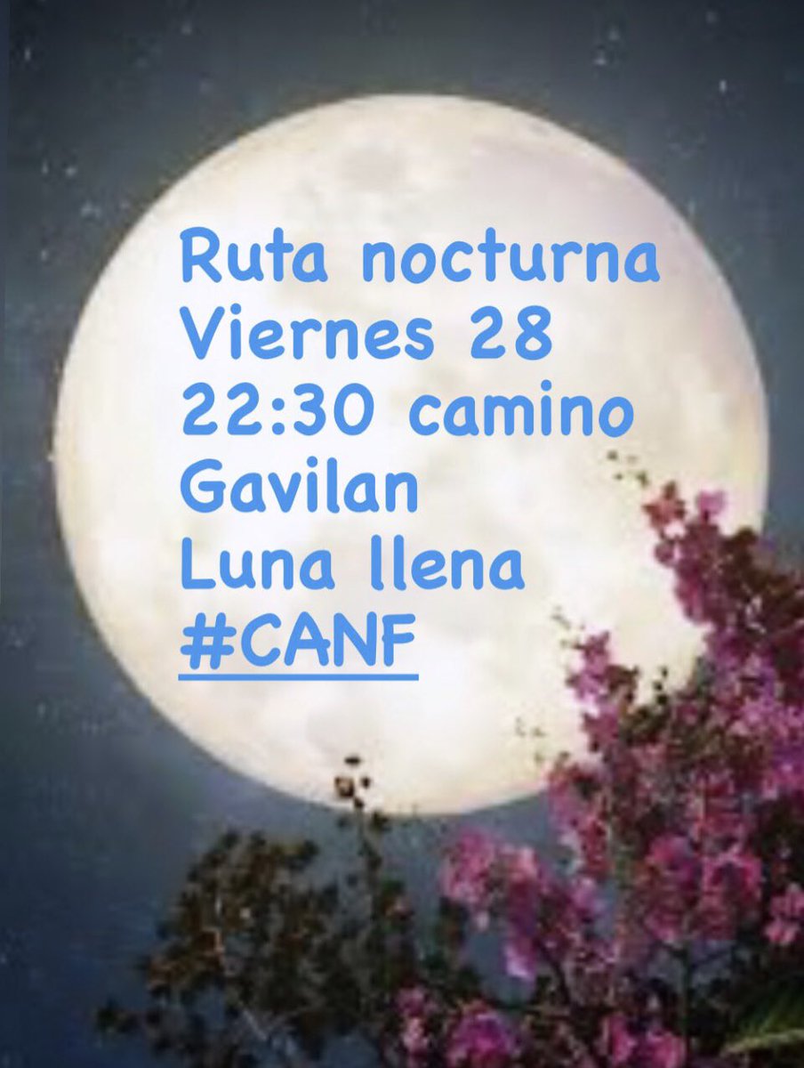 Nuria Fernandez tweet media