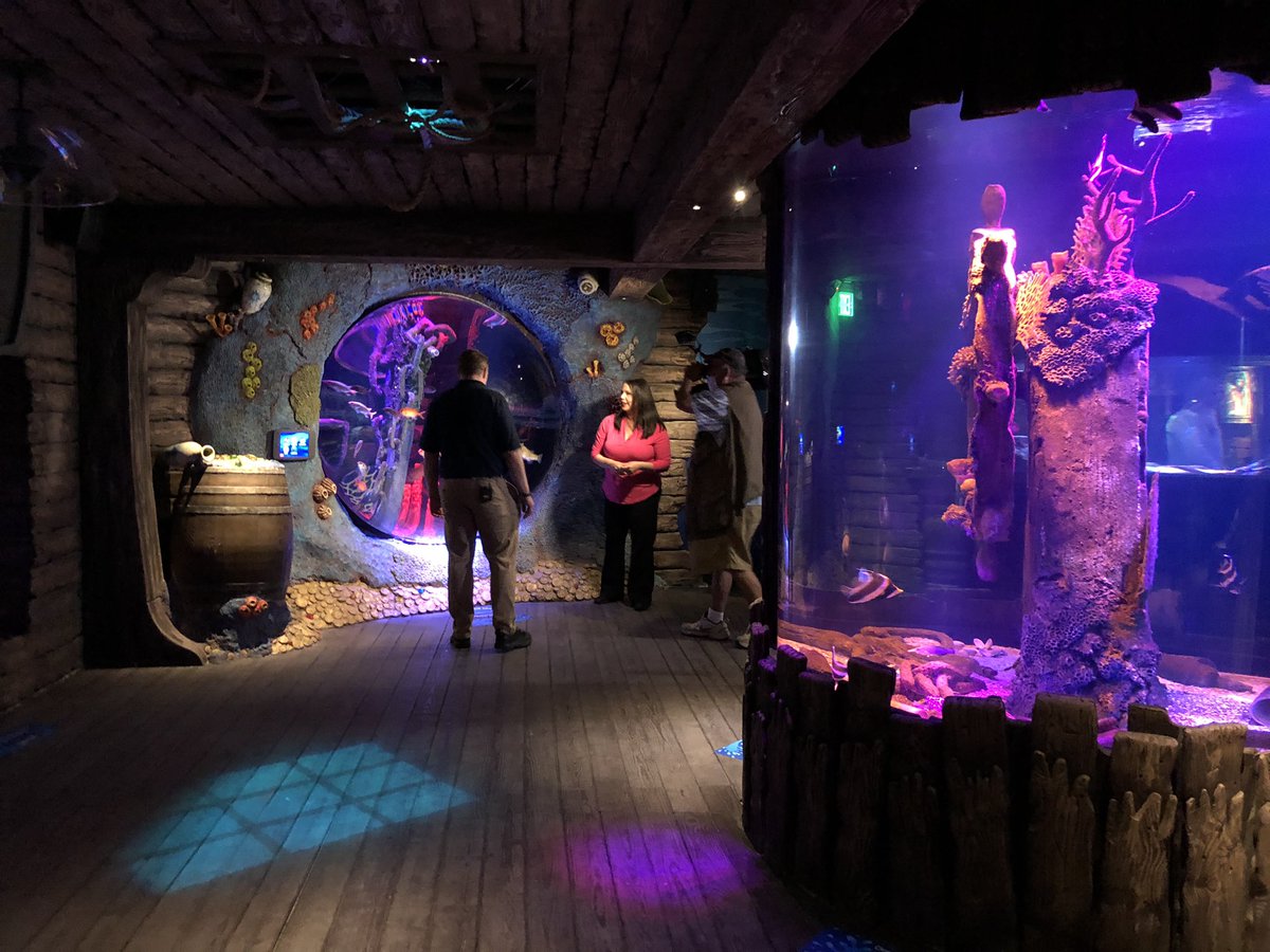 Today is the Day! We are so excited for our Grand Opening! Join us today as festivities begin at 10am and the aquarium opens at 11am! 
 <a href="/KristinaDeLeon/">Kristina De Leon</a> <a href="/News4SA/">News 4 San Antonio</a> <a href="/KABBFOX29/">FOX SA</a>
