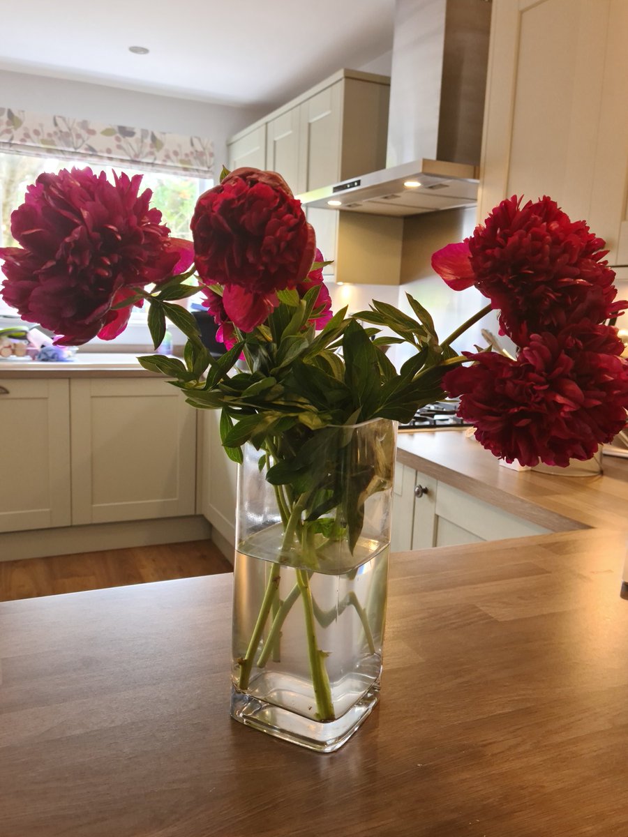 McSlippers's tweet image. Amazing Peonies!