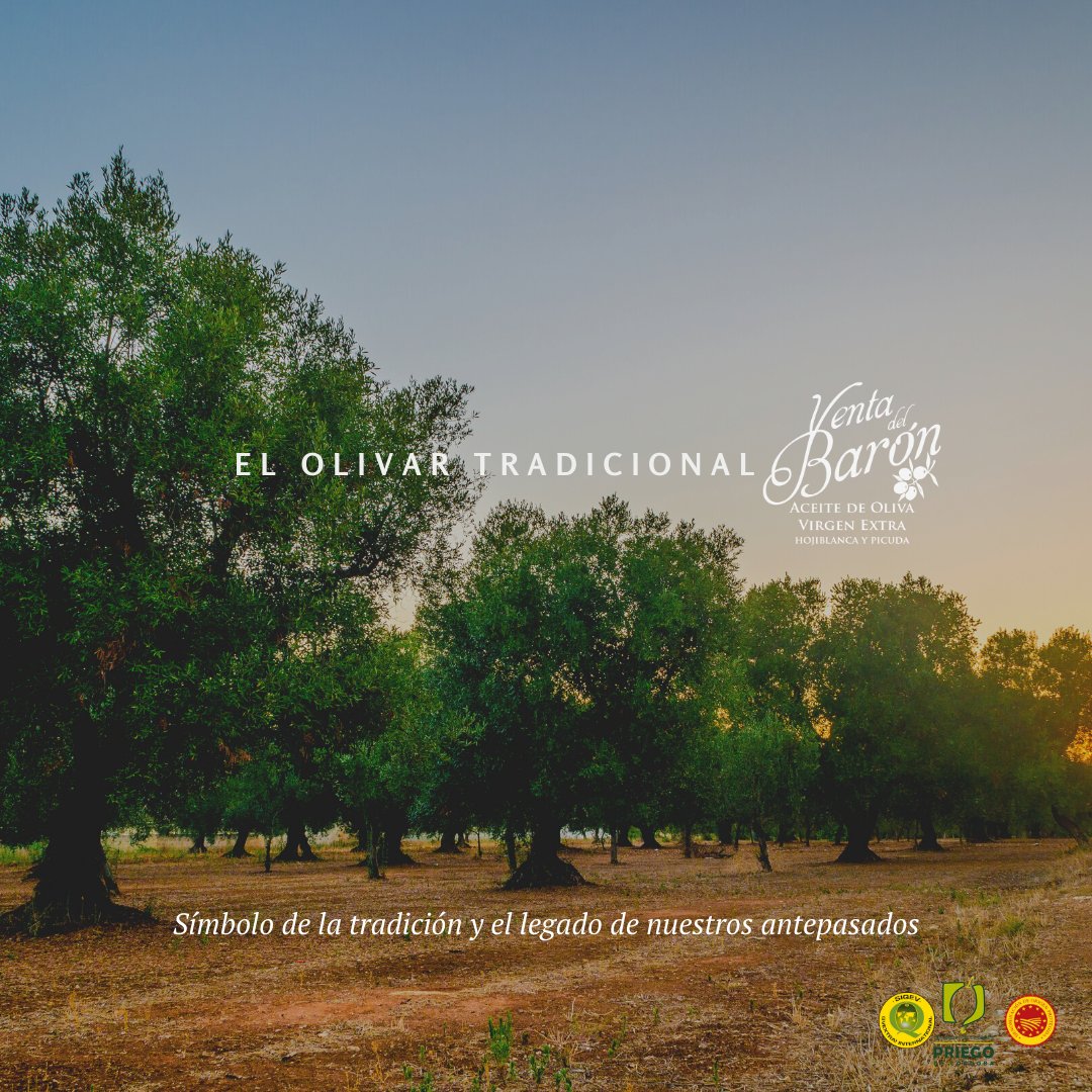 El olivar, símbolo de la tradición y el legado de nuestros antepasados.

#VentaDelBarón #OlivarAndaluz #Mueloliva #PriegoDeCórdoba