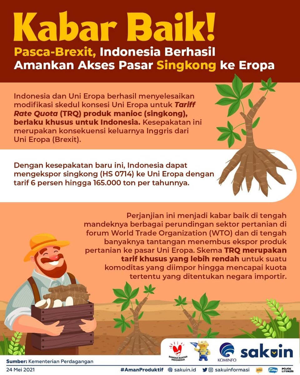 Tumbuhan Singkong Berkembang Biak Dengan Tumbuh Tumbuhan