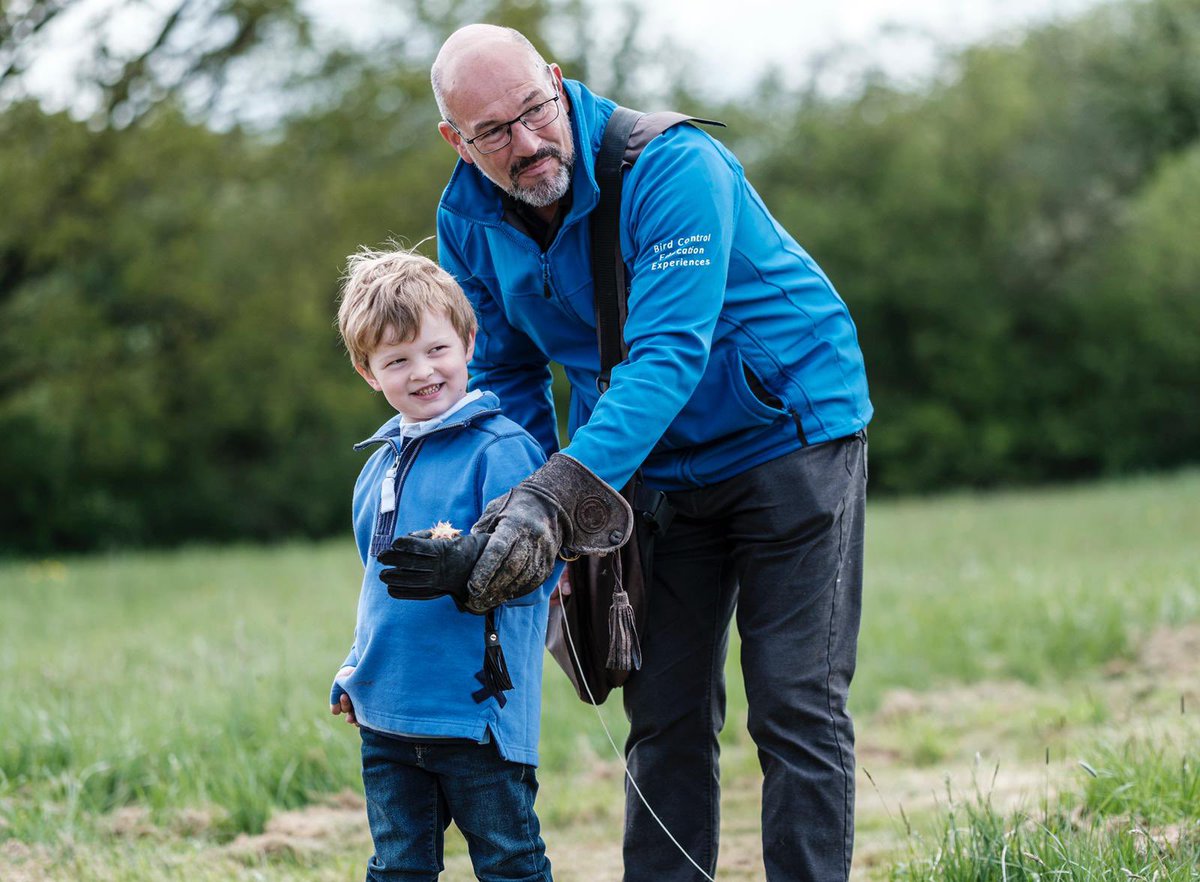 wings_urban's tweet photo. Lovely to see young kids so enthused about birds of prey. Young Harrison enjoyed his hawks at home party this weekend. https://t.co/ERQ0ulAVfH