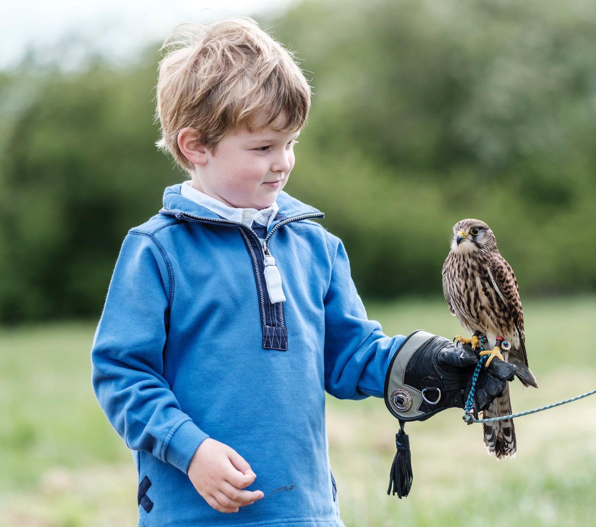 wings_urban's tweet photo. Lovely to see young kids so enthused about birds of prey. Young Harrison enjoyed his hawks at home party this weekend. https://t.co/ERQ0ulAVfH