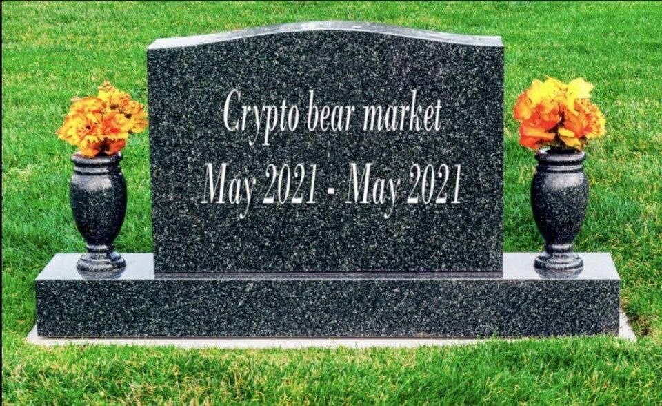 RIP BEAR 🐻 🪦