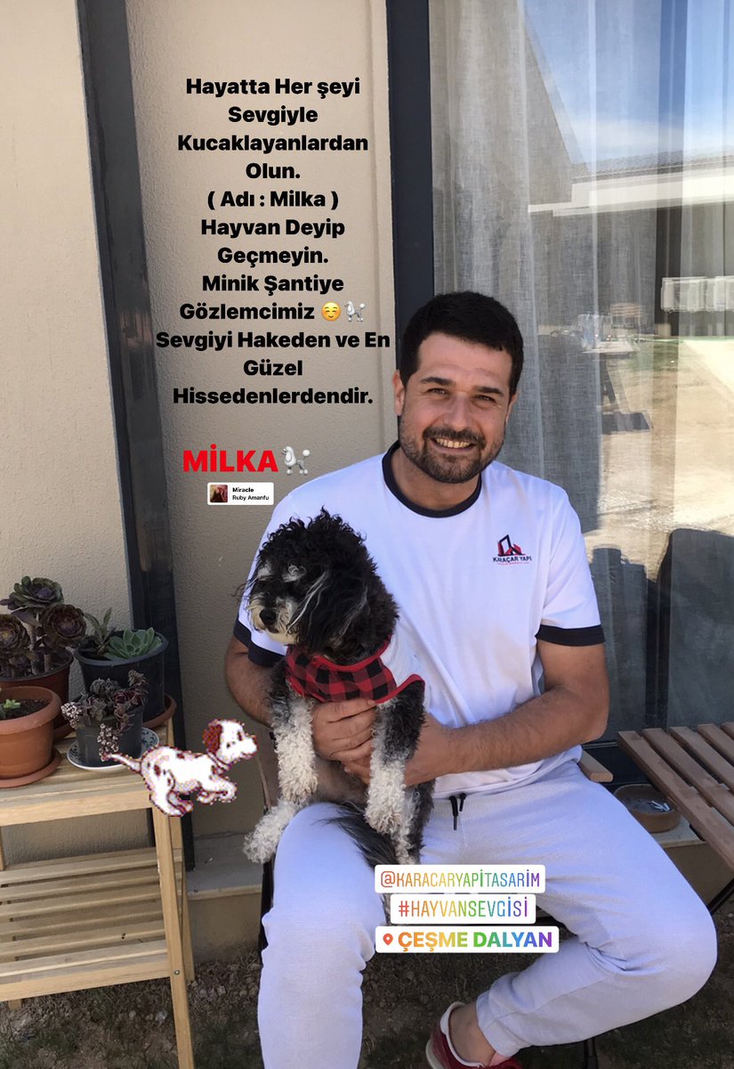 Hayatta Her şeyi Sevgiyle Kucaklayanlardan Olun.
( Adı : Milka )
Hayvan Deyip Geçmeyin.
Minik Şantiye Gözlemcimiz ☺️🐩
Sevgiyi Hakeden ve En Güzel Hissedenlerdendir.
#karacaryapı #minik #şantiye #gözlemcimiz #milka #hayvandeyipgeçme #sevgiyi #eniyi #hissedenlerden #izmir #çeşme