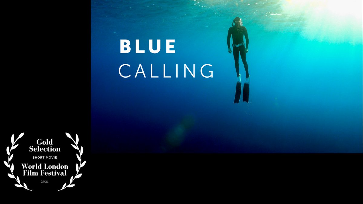 WorldLondonFF's tweet photo. Congrats to our Gold Selection
“Blue Calling”
Directed by Sarah Ziegler and Janis Klinkenberg
Many thanks for sharing your movie with us!
We loved it!
#goldwinner #shortmovie #filmmakers #filmfestival
#filmfreeway #goldselection #featurefilm https://t.co/hCFKgpbeBI