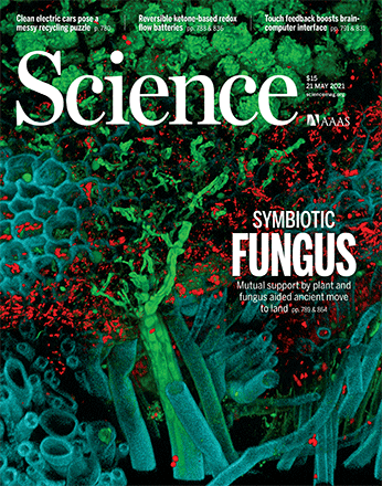 GroundworkBioAg's tweet photo. Mycorrhizae aren’t simply a cornerstone of regenerative agriculture - they're the foundation of plant life’s migration from sea to soil 450 million years ago! Cover article of Science mag: 
https://t.co/fCDn030fg9
#science #mycorrhiza #mycorrhizae #agriculture #groundworkbioag https://t.co/YCTnjbwGO9