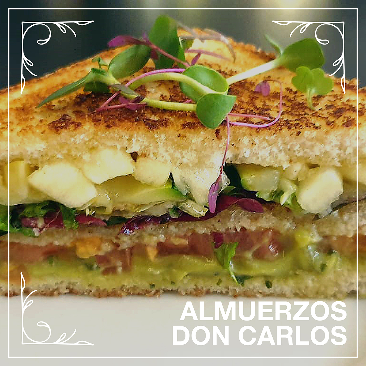 Las mañanas saben mejor con un #AlmuerzoDonCarlos como éste 👉 Pintxo Vegano de Guacamole, Calabacín a la plancha, Vinagreta de Manzana, Tomate y Lechuga. ¿Os animáis a probarlo? 
Horario almuerzos:
- De lunes a viernes desde las 9:00 h.
- Sábados y domingos desde las 11:00 h.
