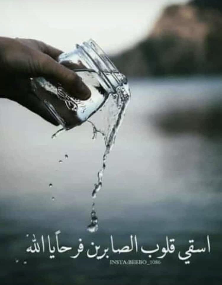 رحال بين الدروب tweet media