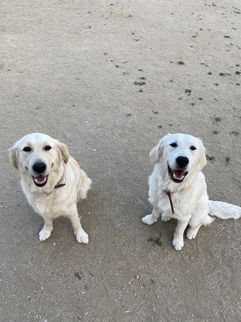 cami_238's tweet photo. Ecuación simple: 

Ellas feliz = yo feliz https://t.co/t6rL8jp0xv