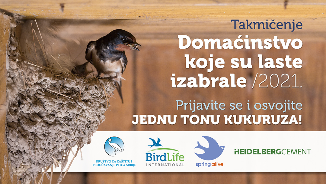 BirdLifeSerbia's tweet image. 📣 Počelo takmičenje „Domaćinstvo koje su laste izabrale“ - Domaćinstvu sa najviše lasta tona kukuruza! 🐦🌽
👉 Više o takmičenju pročitajte na ovom linku: pticesrbije.rs/domacinstvu-sa…
👉 Prijavni formular popunite na ovom linku: forms.gle/EkM67u1SmRDUYW…
