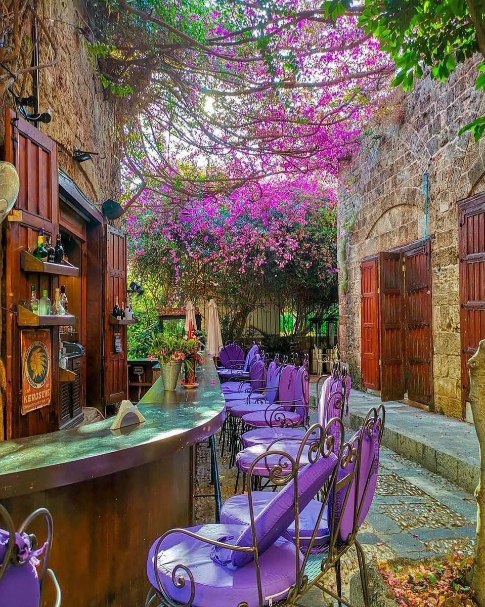 What is so special about Byblos? 

#BeirutView #Jbeil #Byblos #Lebanon #MeetLebanon #BeirutLebanon #VisitLebanon #FlowersofLebanon #BeautifulLebanon #AmazingLebanon