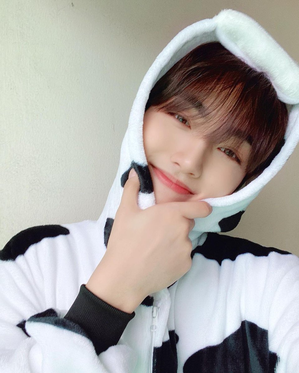 24k_romania's tweet photo. - 24/05/2021 - @24k__official Instagram Update

[RO] [#XIWOO] Moo🐮❣️ 

#24K #Xiwoo #LetsDoWellXiwoo #24USelcaDay

#24K #XIWOO #투포케이 #시우 https://t.co/IO6LVfo5OW