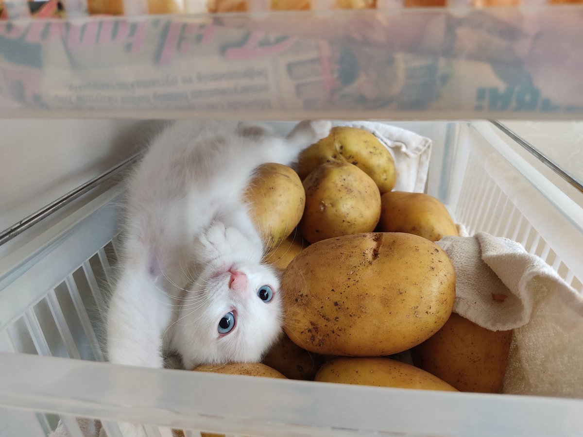 Yattığı yere bakiiiinnnnskwjskwjs