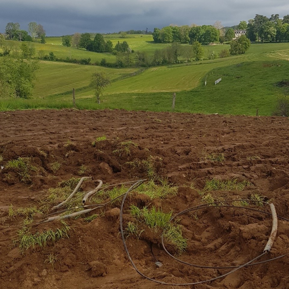 Orange Auv-Rh-Alpes tweet media