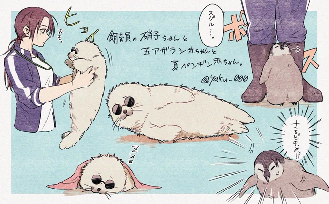 五猫とか好きなんですけど、癒しを求めて…最近アザラシの赤ちゃんの動画も猫動画と同じくらい観るようになった。
そのせいか分からないけど、白くてもふもふした感じがどうして五に見える。(オマケ:飼育員のしょーこさんと、夏ペン) 