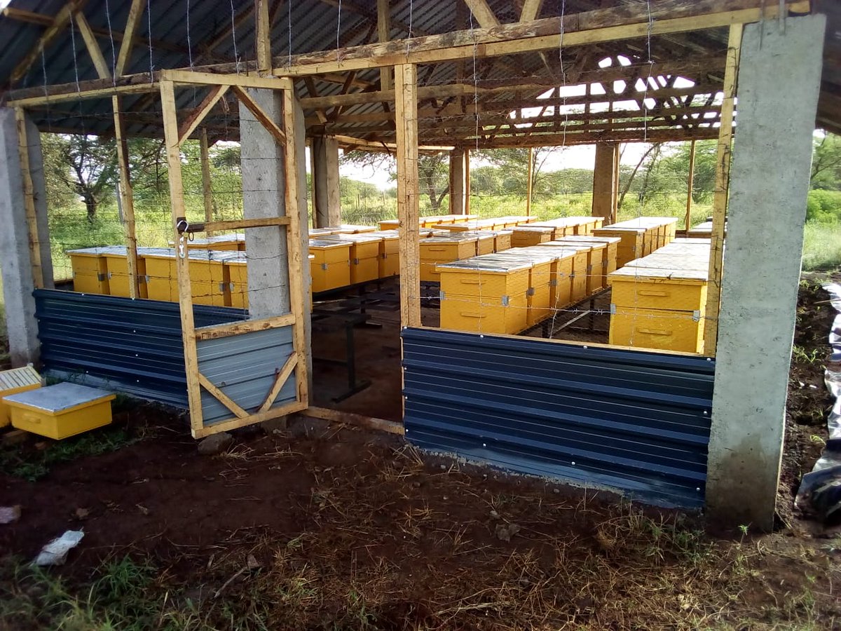 benard_kiruthu's tweet photo. 🤔Should I feed Bees🐝??
Yes you should‼️ ⚠️But HOW and WHEN are very important! #sustainable #Bee_keeping #Save_the_honey_bees 0703433155 @Farm_Pesa @IrriHub @mkulimayoung @rodgers_kirwa @FarmKenya254 @CalebKaruga @farm_ke https://t.co/Fmd62P8U7b