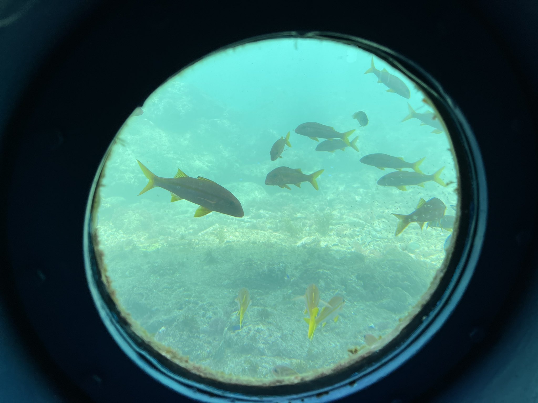 海中展望台 Twitter Search Twitter