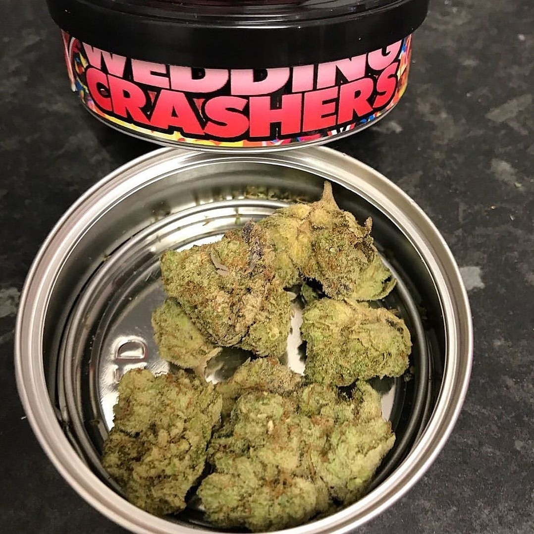 Kushplug14 tweet picture