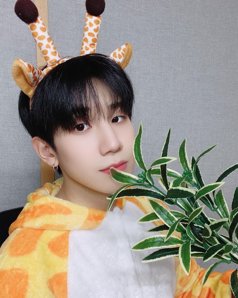 24k_romania's tweet photo. -24/05/2021 -  #CHANGSUN Instagram Update 

 Guuooouuooo?? (Cum face un giraf??…)🌳🦒🦒 

#24K #Changsun #ㅇㅅㅎ #24USelcaDay

#24K #CHANGSUN #투포케이 #창선 https://t.co/3Br0NoZdUO