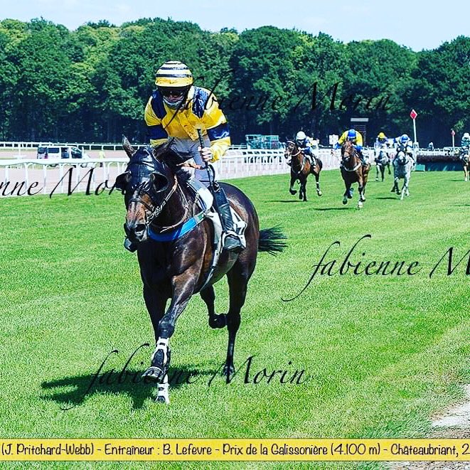 Jacobwebb9622's tweet photo. A year ago since Kaplyma romped home by 20 lengths at Chateubriant
#frenchracing #horseracing #lastwinner https://t.co/ZU7S6FfsMD
