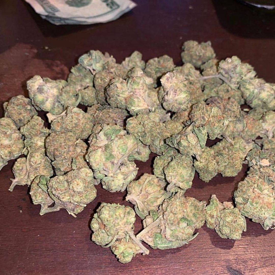 Kushplug14 tweet picture