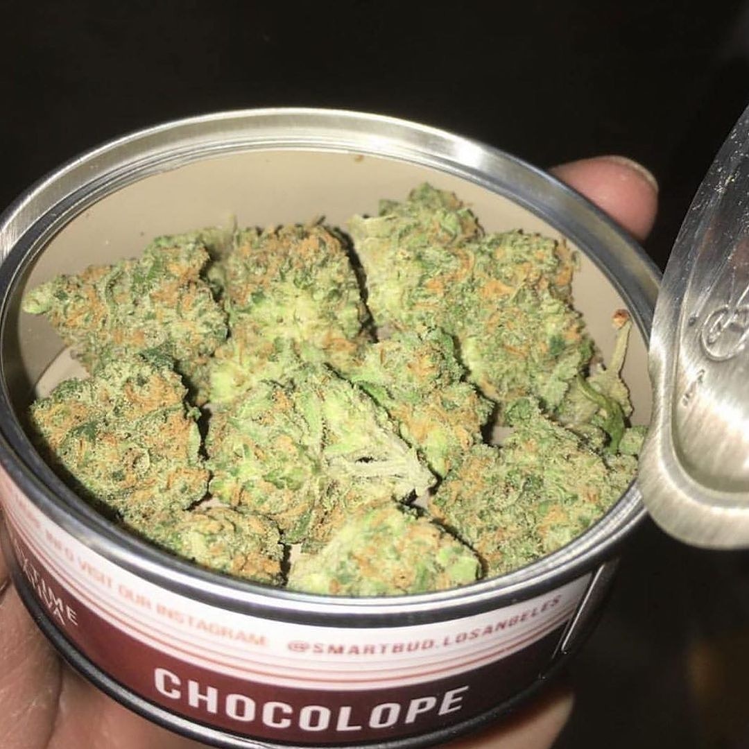 Kushplug14 tweet picture